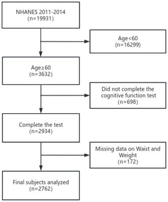 Association between weight-adjusted-waist index and cognitive decline in US elderly participants